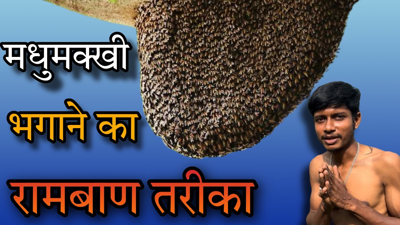 मधुमक्खी भगाने का तरीका || How to get rid of bees 🐝🔥🙌 100% work 👍￼