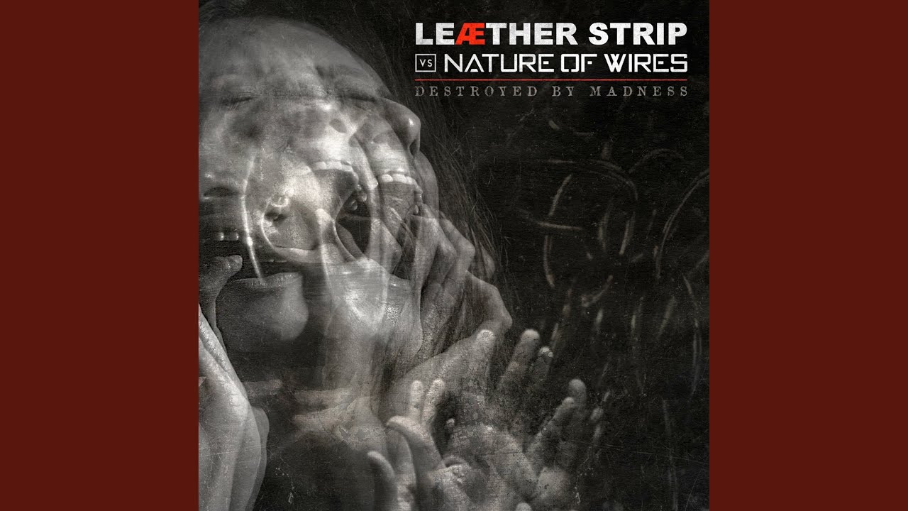 Destroyed By Madness