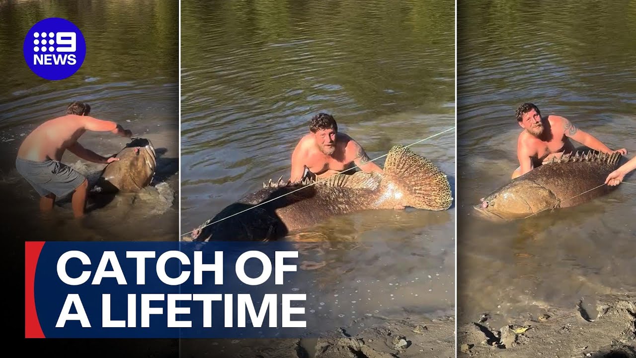 Aussie fisherman reels in ENORMOUS catch without a rod | 9 News Australia