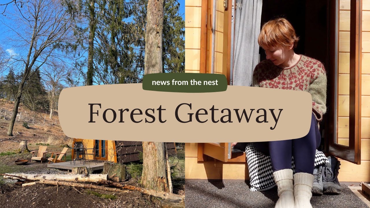 Forest getaway | Glamping in Veluwe | 2021