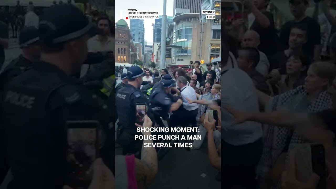 Australia: Police Punch Man Multiple Times During Pro-Palestine Protest in Sydney | N18G