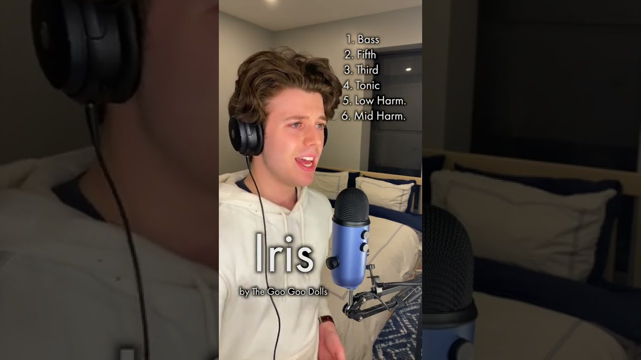 Iris - The Goo Goo Dolls (a cappella harmony building)