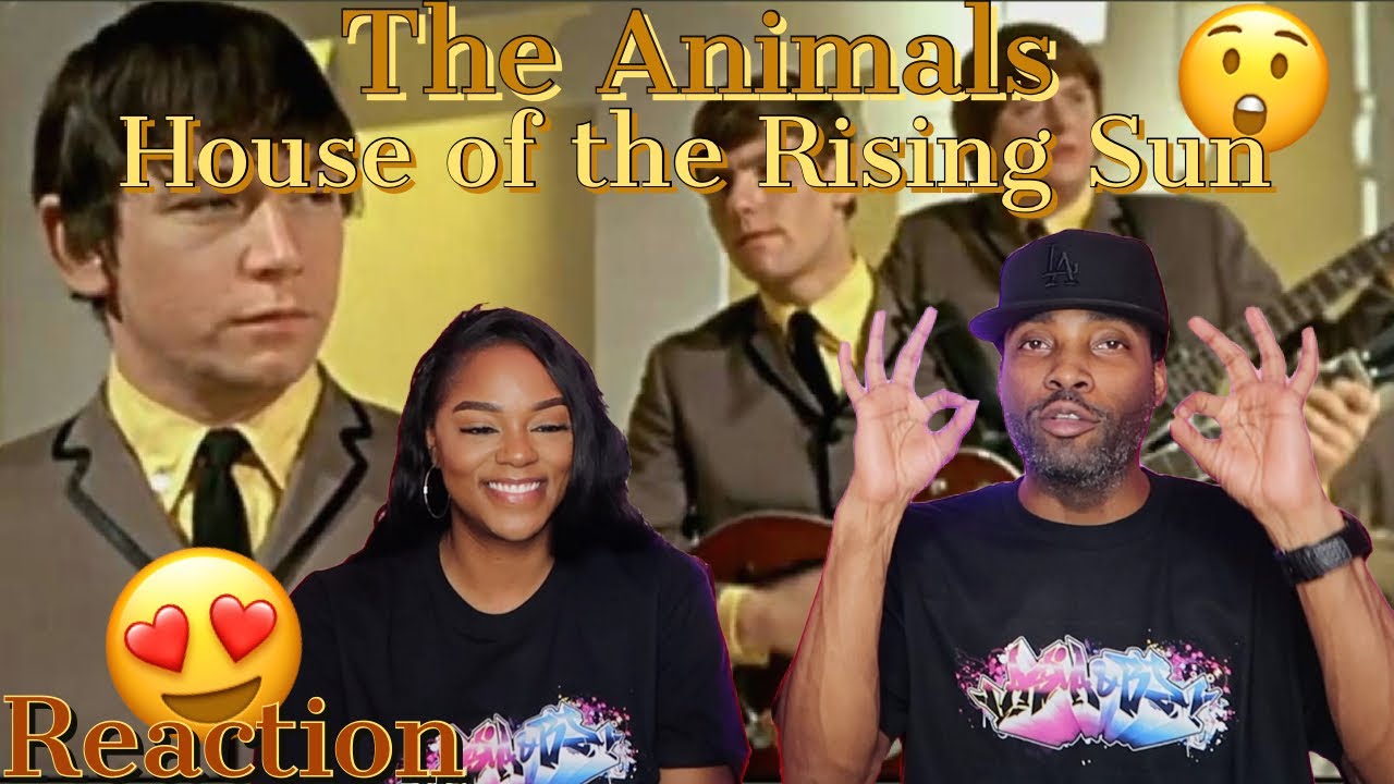 FIRST TIME EVER HEARING THE ANIMALS 