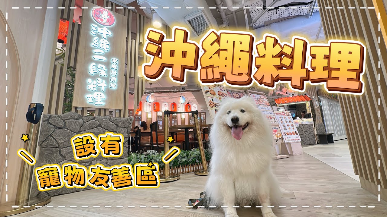 【寵物友善餐廳】帶狗狗去食沖繩料理，餐廳自設超大「寵物友善區」，帶大狗都唔覺迫｜西摩Tako｜@big_dog_channel 