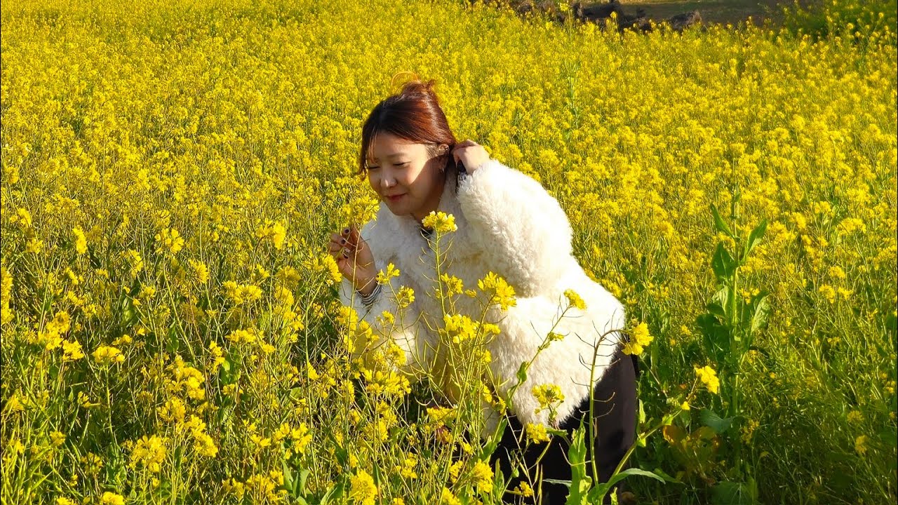 [일상vlog] 제주도민의 첫 일상은 먹고자고 먹고자고! _ 꿀설기+화이트리에 식빵+한립수협 회포장+점보인생네컷+두쫀쿠+두바이휘낭시에+한강라면+산방산용빵+제주도흑돼지 1일3두쫀쿠