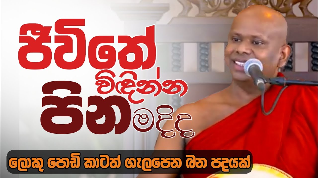 ජීවිතේ විඳින්න පින මදිද/ven welimada saddhaseela thero /පූජ්‍ය වැලිමඩ සද්ධාසීල ස්වාමීන්වහන්සේ 