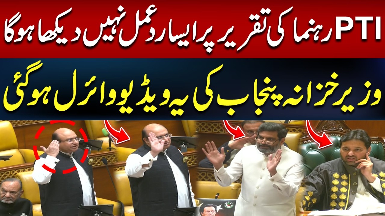 PTI Leader's Speech Gets an Unexpected Reaction | Punjab Finance Minister's Video Goes Viral