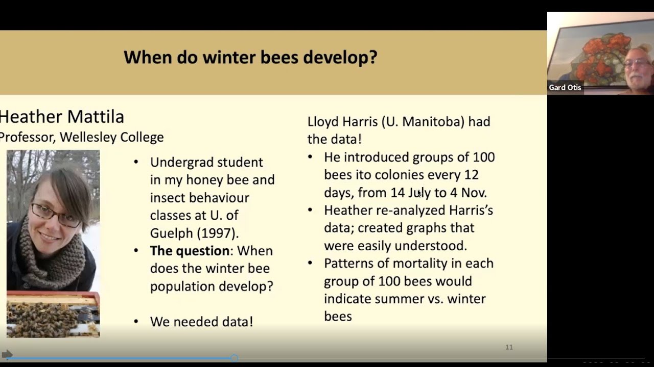 Winter Bee Biology, Gard Otis - a NY Bee Wellness webinar