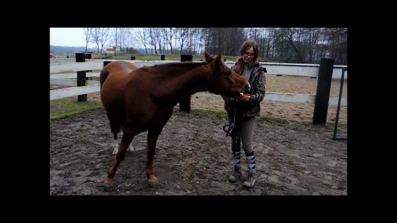 Unser Abschied... Lady&Ich♥