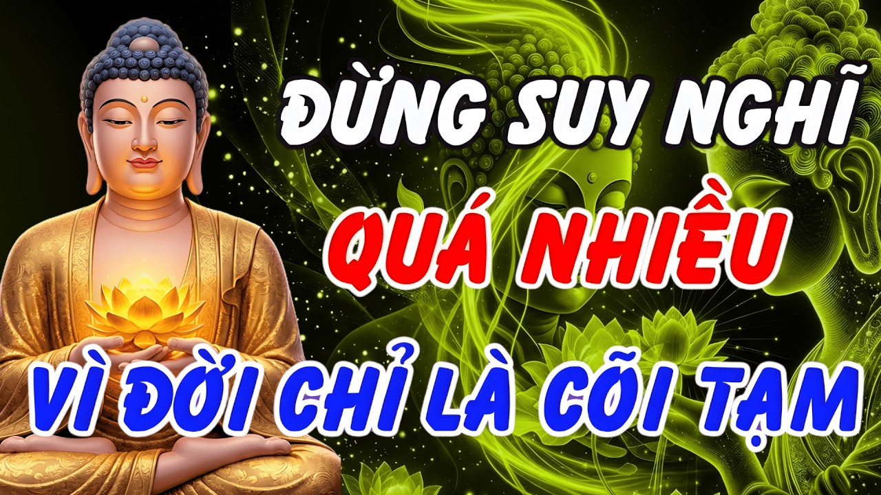 Nghe Lời Phật Dạy Mỗi Đêm: Thấu Hiểu Vô Thường, Tìm Lại Bình Yên Giữa Nghịch Cảnh