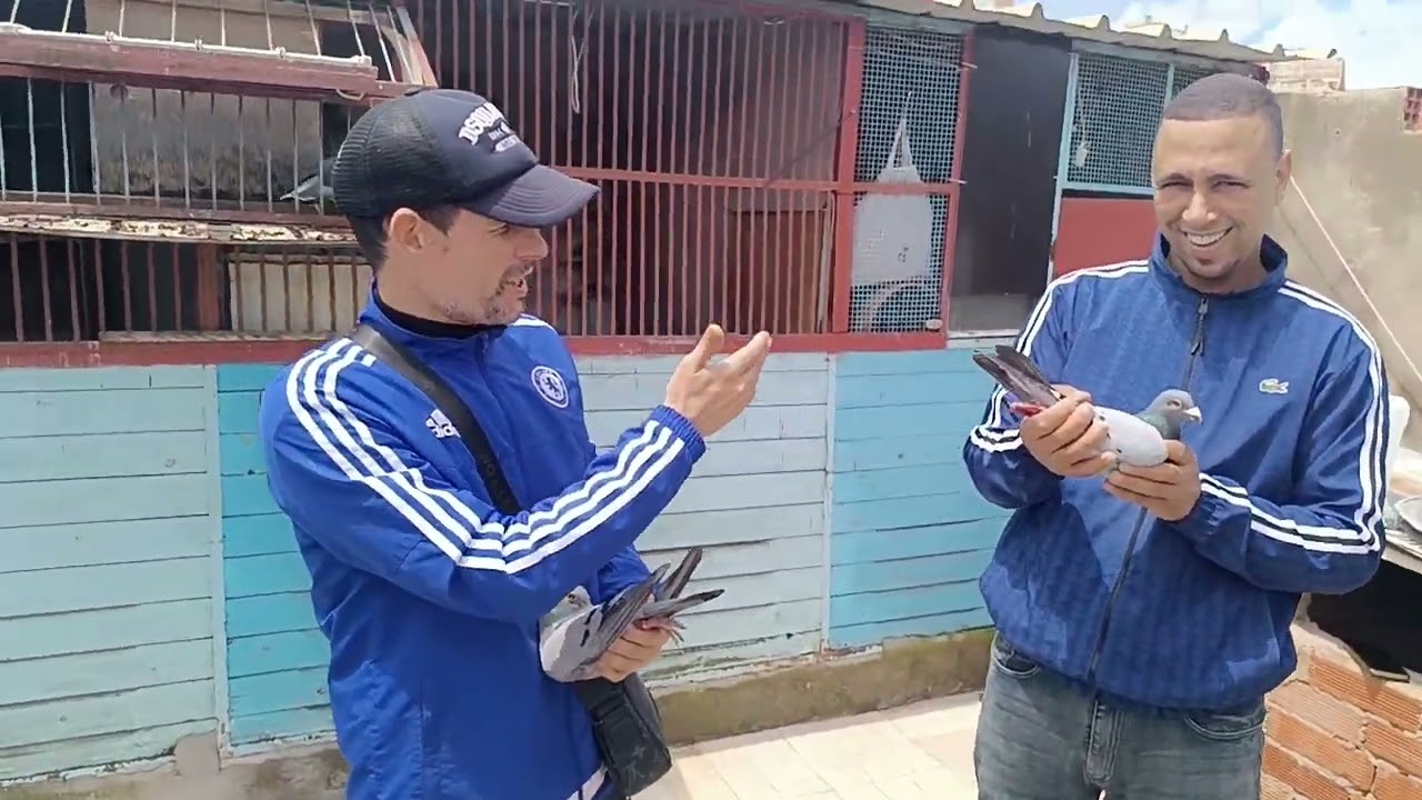 من العيون الى الى مدينة طنجة 1150كم