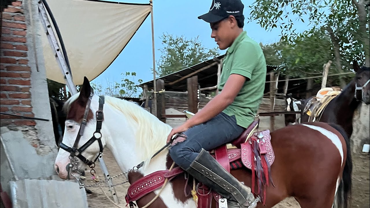 Nos llegó este poni al rancho!!🐴
