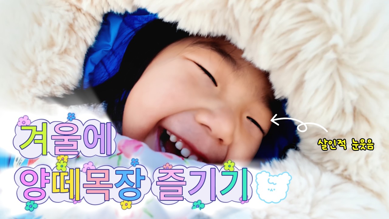 서울근교 양평 양떼목장을 즐기기ㅣ양떼목장 브이로그ㅣ양평 가볼만한곳ㅣ아이랑  가볼만한곳ㅣ위험천만 놀이터