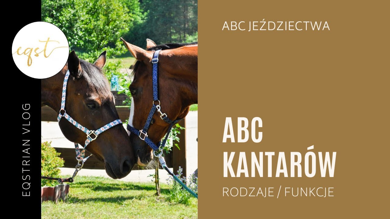 KANTAR - rodzaje i funkcje | sprzęt dla konia