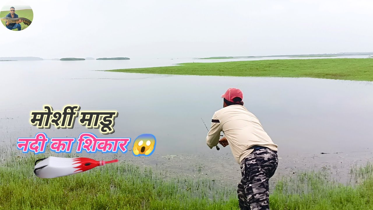 River Pathan Fish Snakehead Murrel Fishing //How to catch snakehead 😱