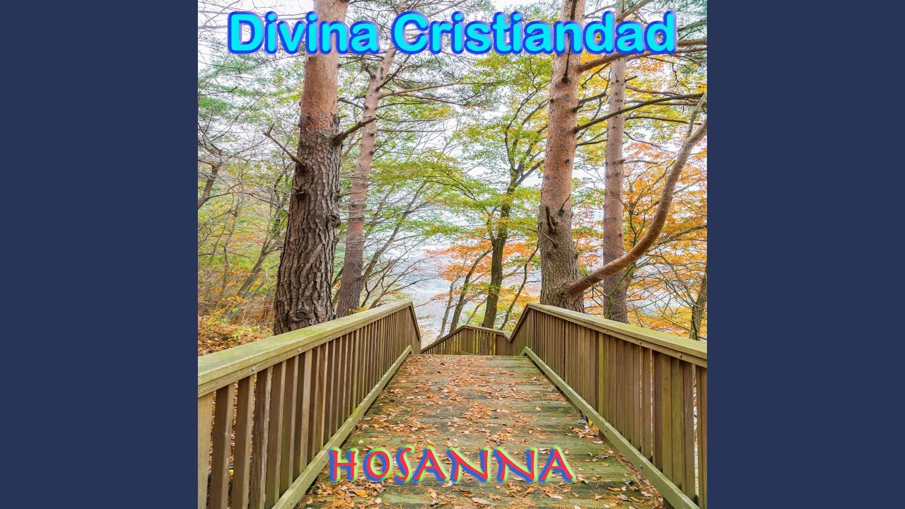 Tu Llamada
