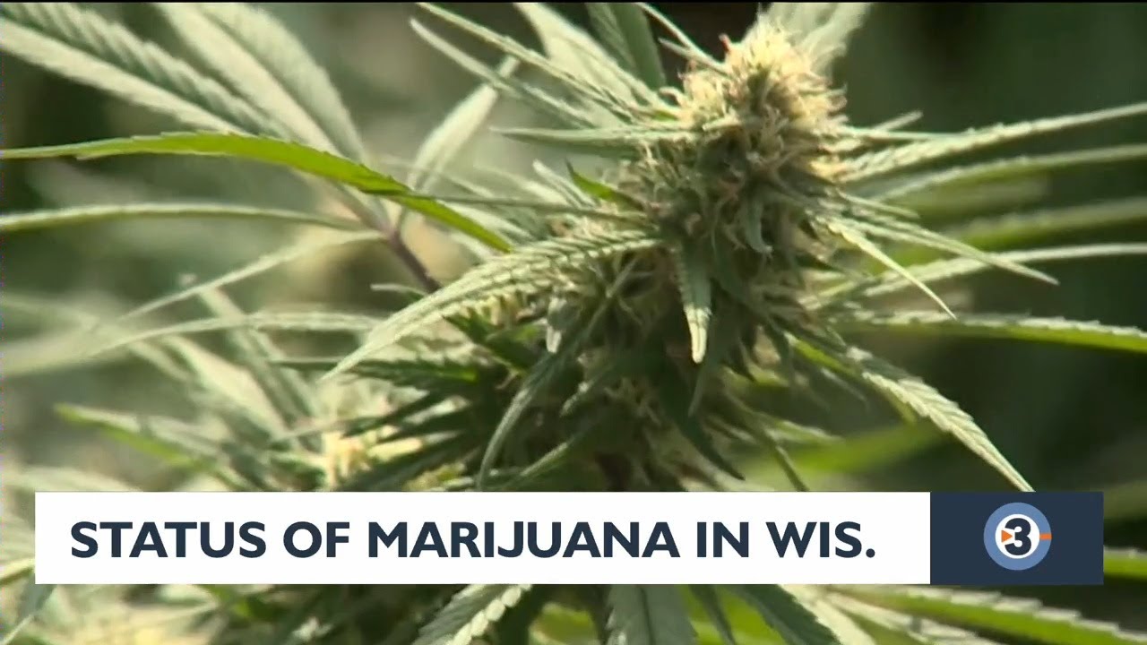 Status of potential marijuana legalization in Wisconsin