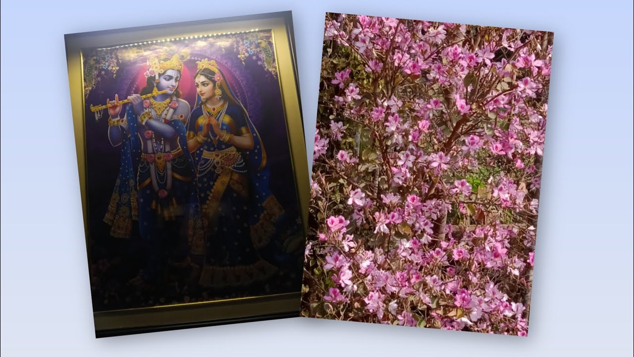 বসার ঘরের ভোল বদলে গেলো লাইটিংয়ে👍#ব্লগিং #লাইটিং #ভিডিও 