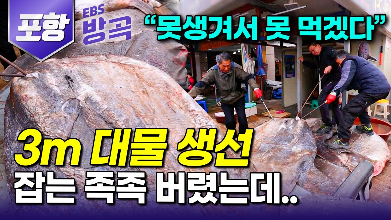 [경북 포항] 