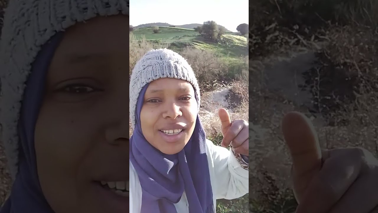 بدأت قناة 