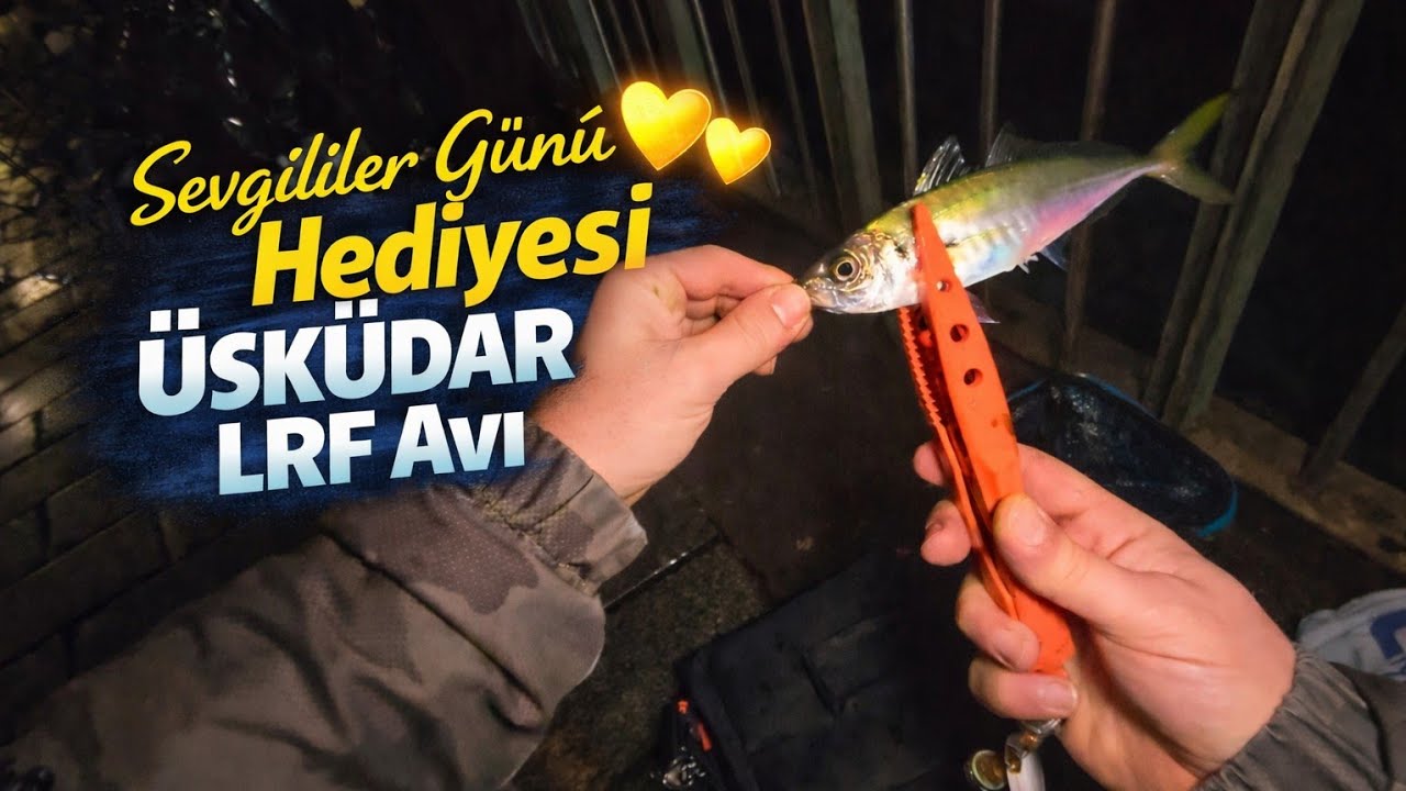 Üsküdar’da Gece LRF Avı | İstanbul’da İstavrit Nasıl Tutulur? (Sevgililer Günü Özel)