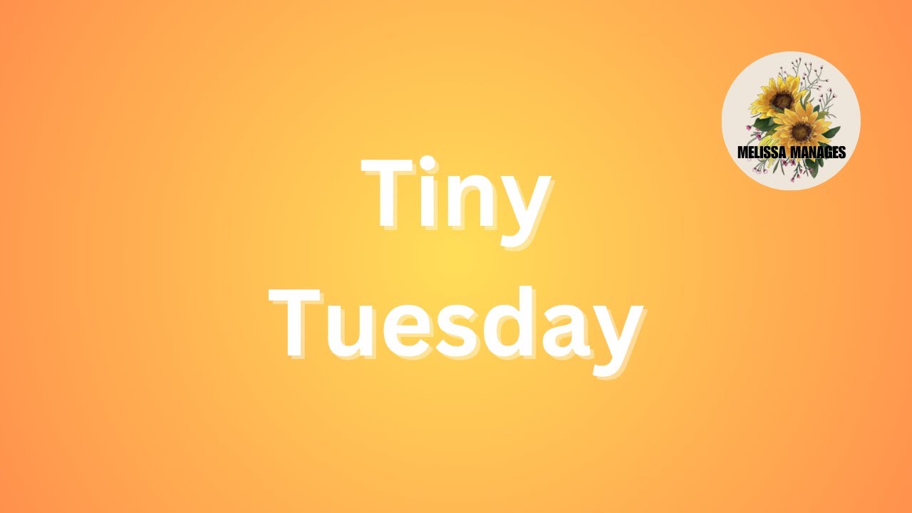 Tiny Tuesday  | 01202026
