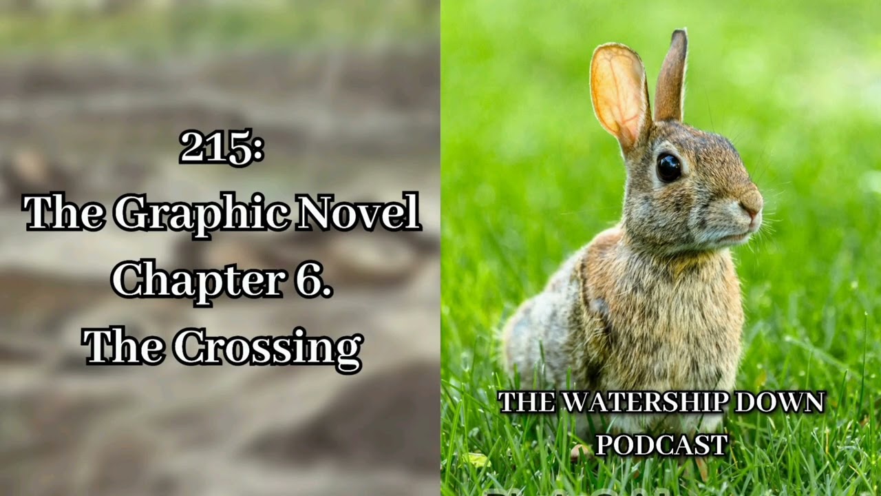 215: The Graphic Novel Chapter 6. The Crossing