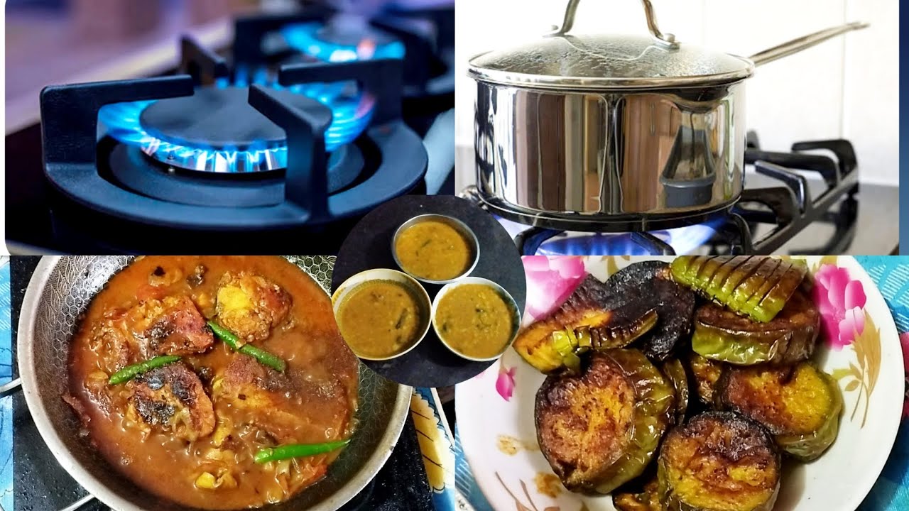  বাসায় রান্নার গ্যাসের সমস্যায় বিকল্প সমাধানে ইনফ্রারেড কুকার নাকি ইন্ডাকশন কুকার কোনটা ভালো?