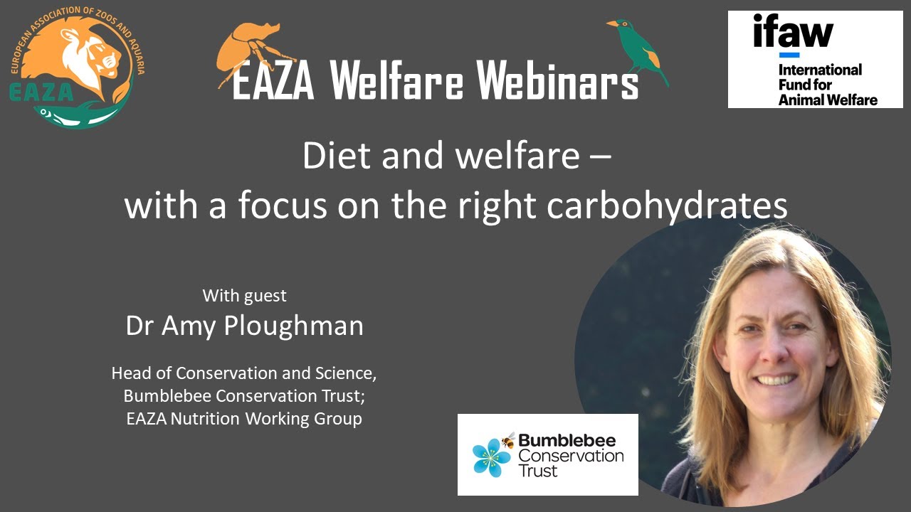 EAZA Animal Welfare Webinar – Amy Plowman – Diet and welfare: a focus on the right carbohydrates