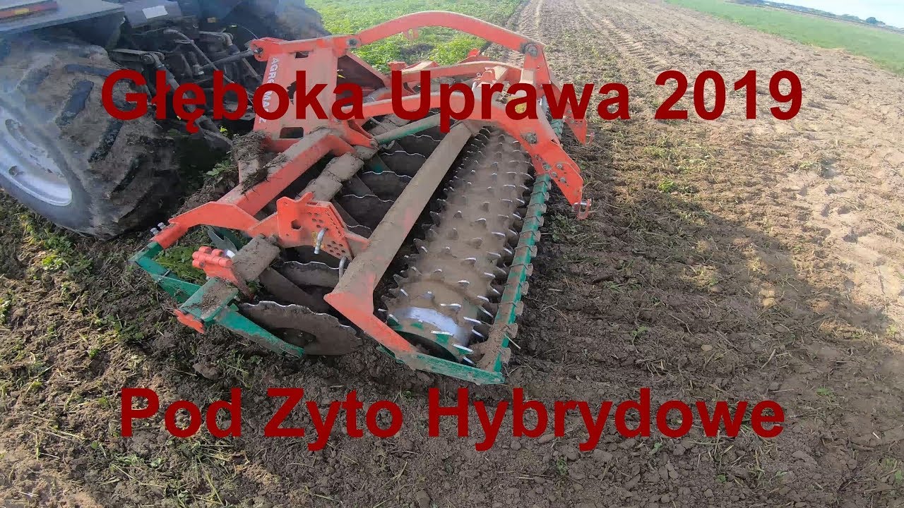 Głęboka Uprawa 2019 AgroMaszem AT30 Pod Żyto Hybrydowe/MF8150