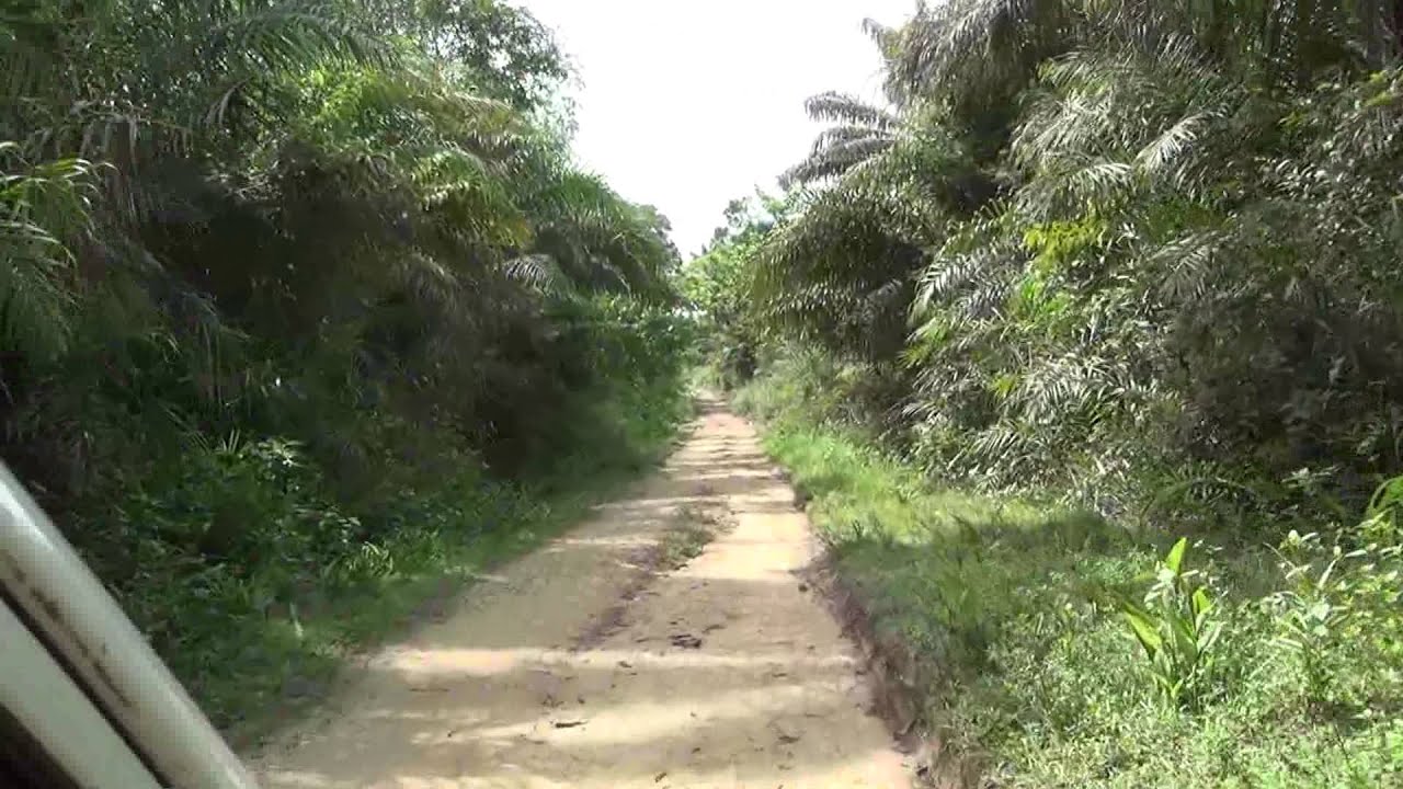 SIERRA LEONE, THE ROAD TO SHENGE, 2012