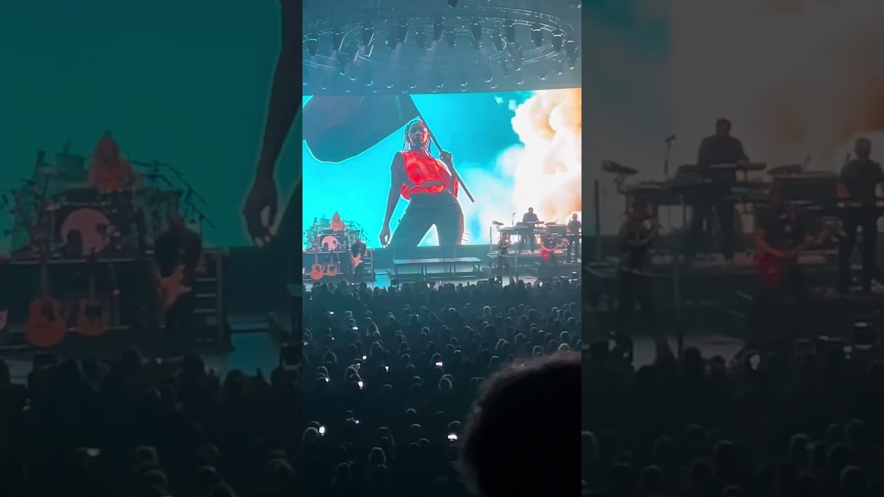 David Hallyday à epernay