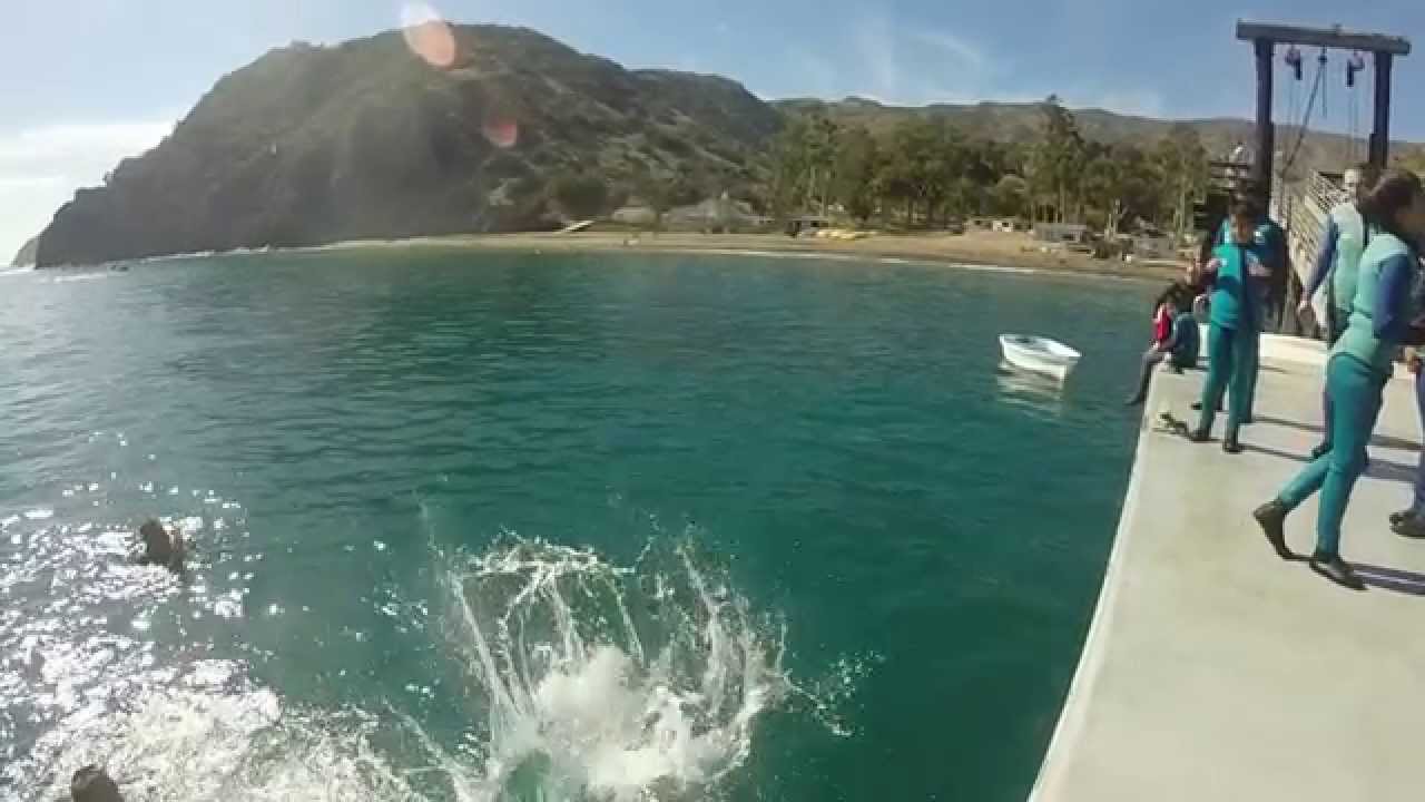 Aliso CIMI Trip 2014