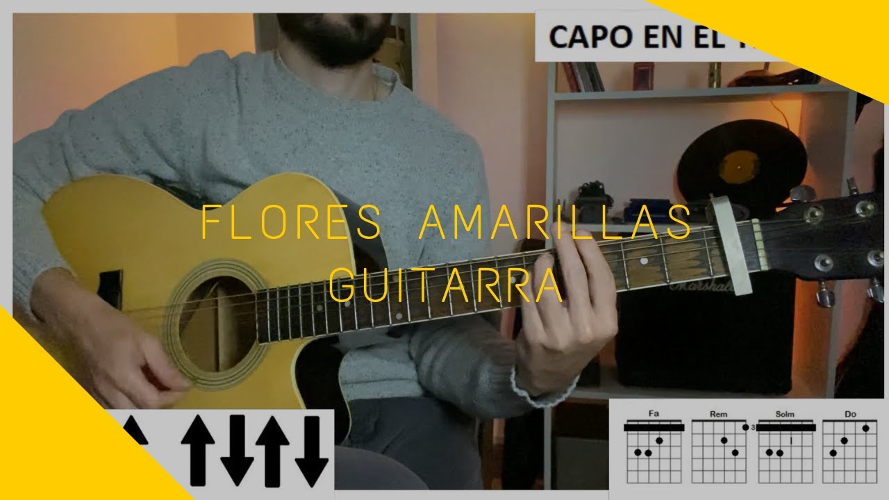 GUITARRA | Flores amarillas - Floricienta ( Man Ray) (Guitarra cover/tutorial) Martin Lopez