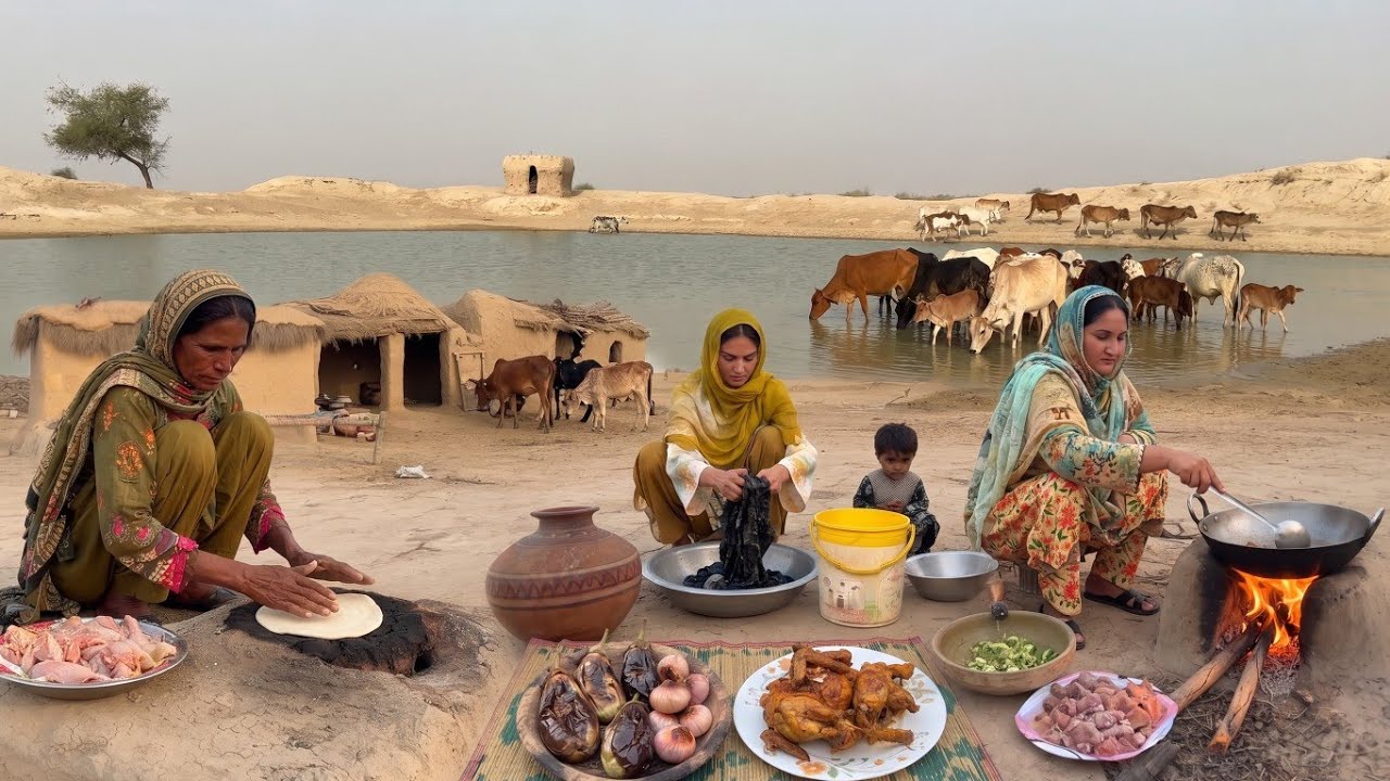 Village women Life in Hot Summer | Eggplant 🍆 Unique Cooking | Desert Women Routine | Rural Life 