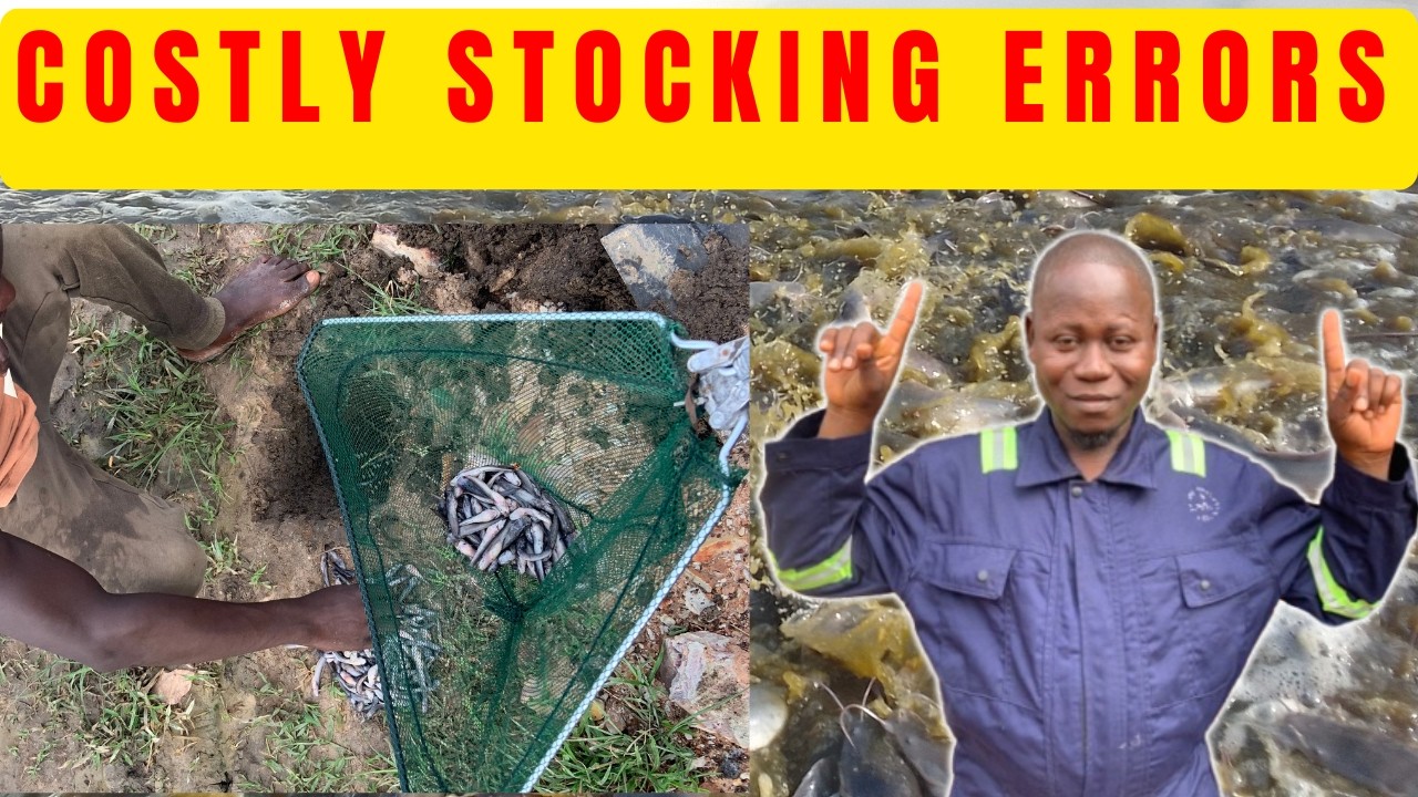 3 Deadly Fish Stocking Mistakes Most Beginners Make