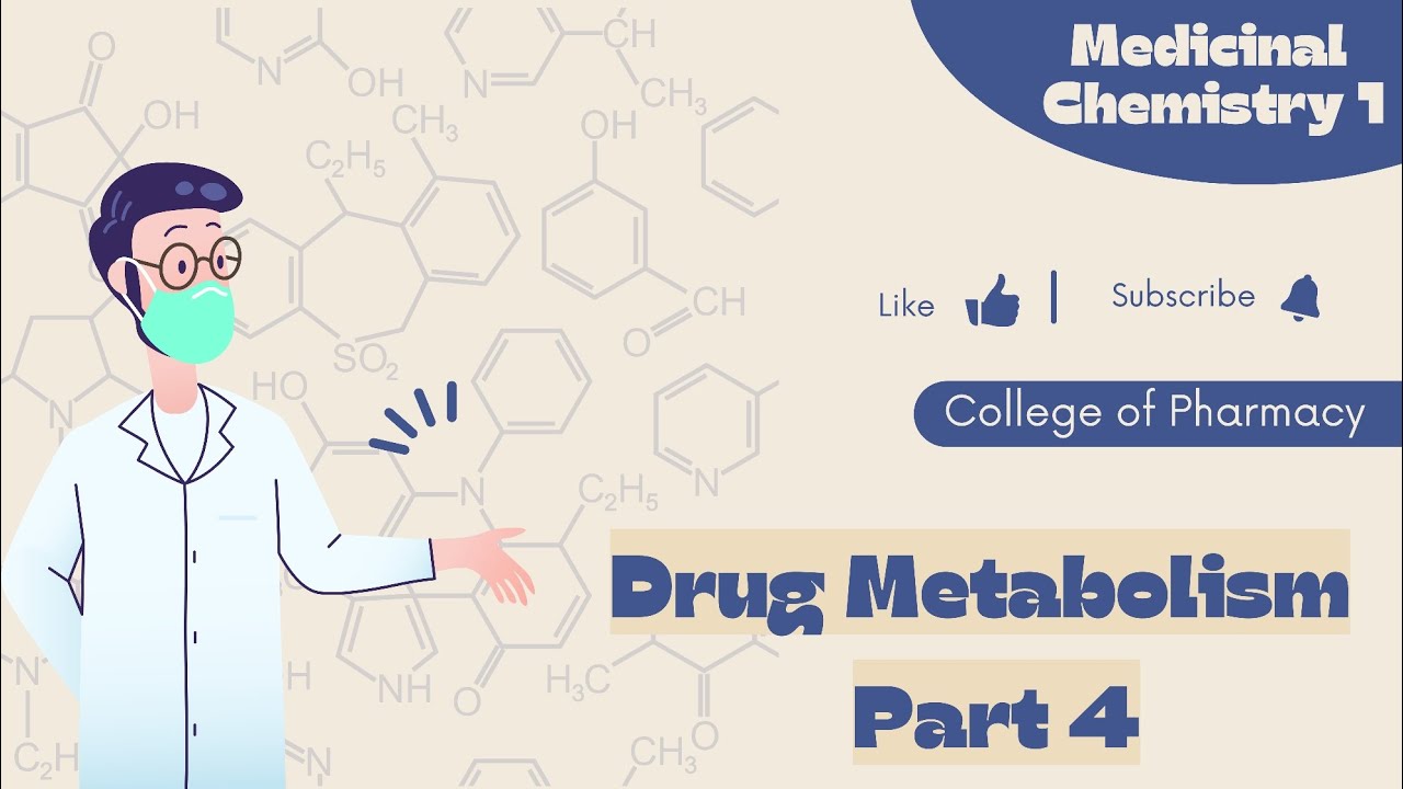 Medicinal Chemistry 1 | Drug Metabolism part 4 |كيمياء دوائية الفرقة الثانية كلية الصيدلة