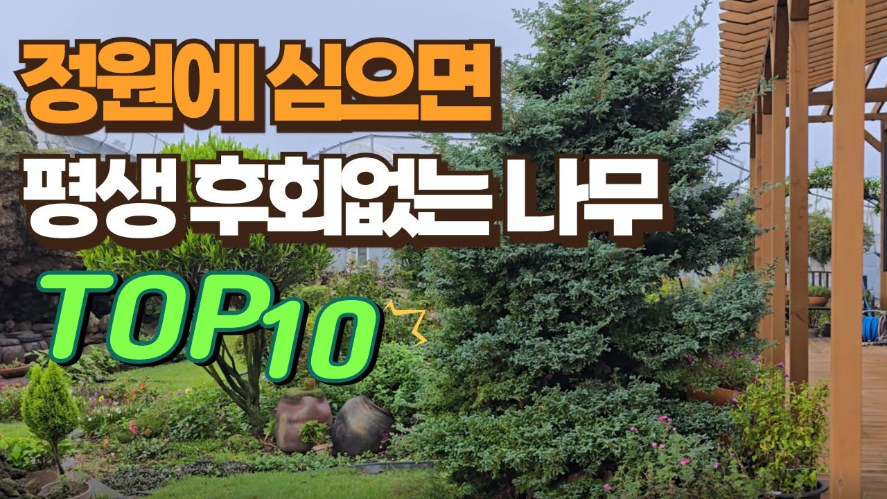 정원에 심으면 평생 후회없는 나무 TOP10
