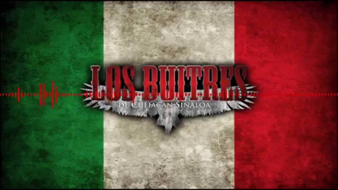 LO MEJOR DE LOS BUITRES DE CULIACAN SINALOA DJ LOCO d(O.o)b