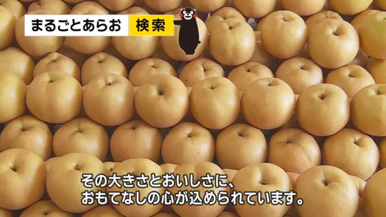 荒尾のジャンボなおもて梨　Arao Nashi Jumbo Pears