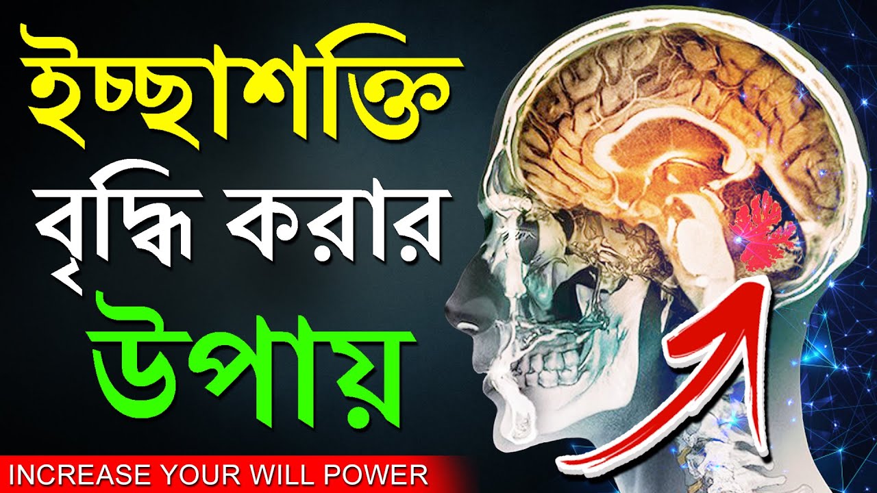 ইচ্ছাশক্তি বাড়ানোর বৈজ্ঞানিক উপায় | How To Increase Will Power | Brain And Memory