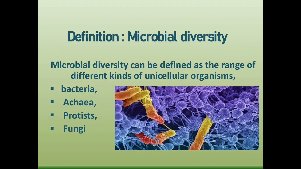 Microbial Diversity