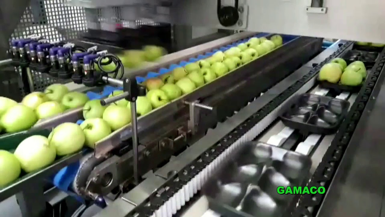 GAMACO -  PICK & PLACE CON 3 ASSI PER MELE/APPLES