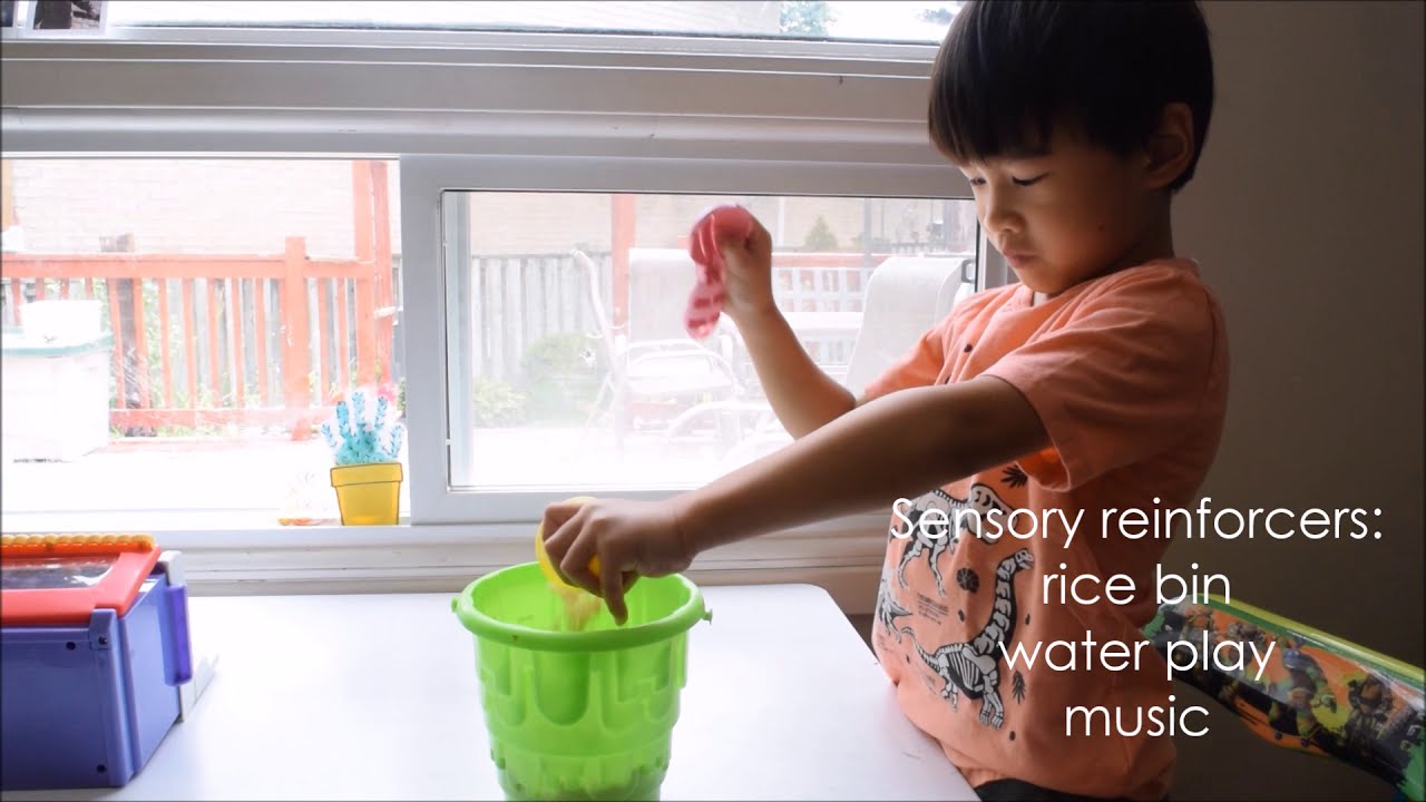 Positive reinforcement. How to use reinforcers to increase behaviour.