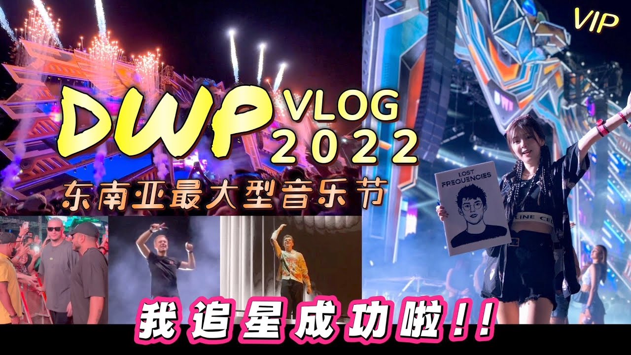 【DWP 2022 VIP 】VLOG｜音乐节  Martin Garrix ,Lost Frequencies,DJ Snake ,Hardwell, Armin