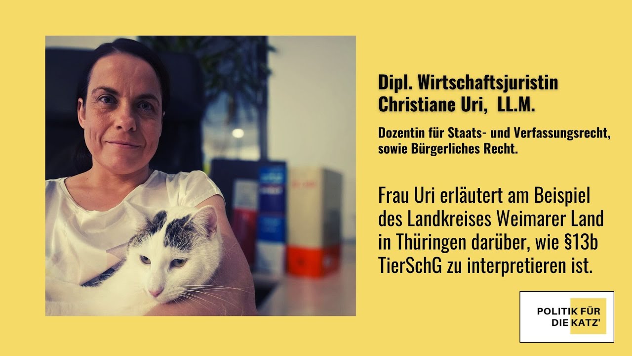 &sect;13b Tierschutzgesetz - wie ist es zu lesen?