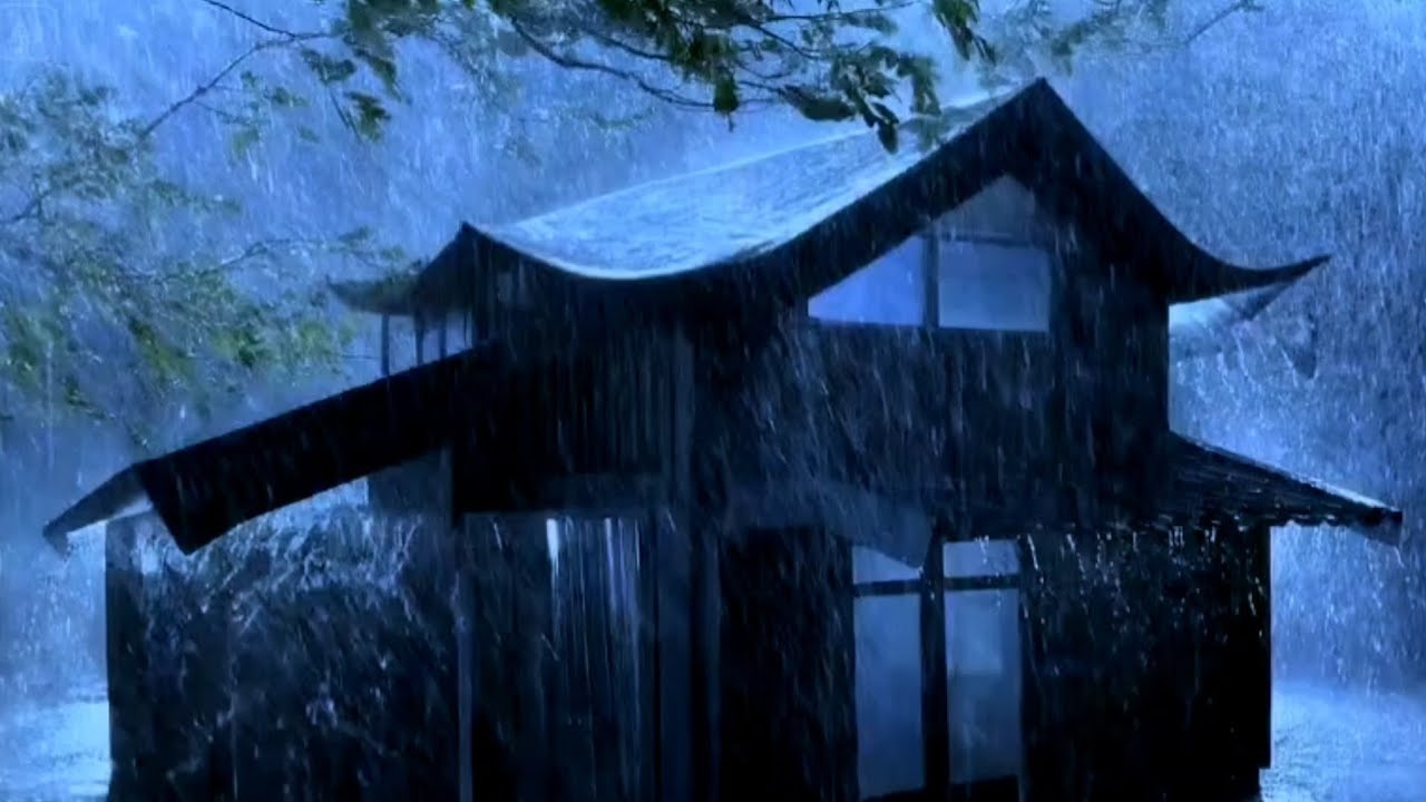 A Refreshing Sleep with Torrential Rain & Thunder Rattling on a Rickety Tin Roof in the Rainforest