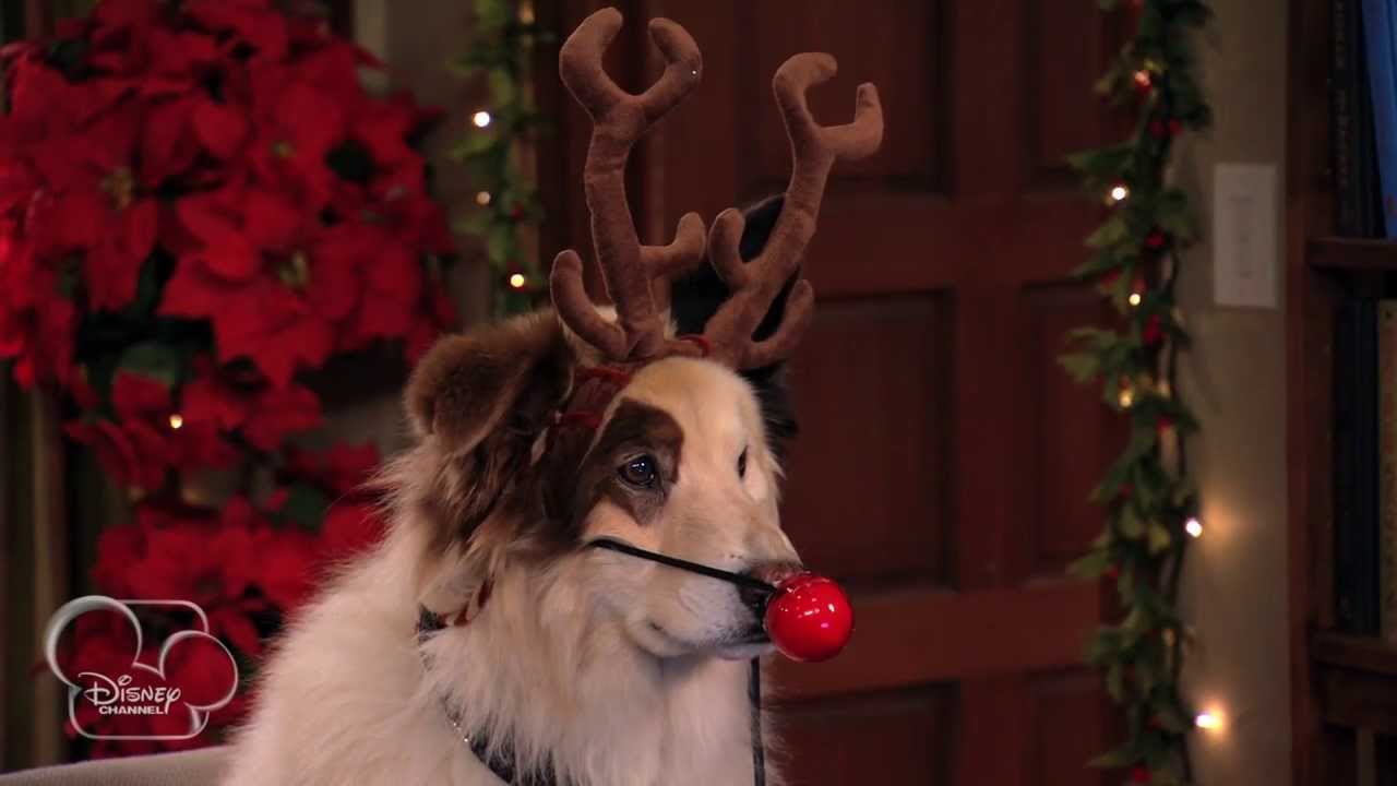 Dog With A Blog | Bark! The Herald Angels Sing | Official Disney Channel UK