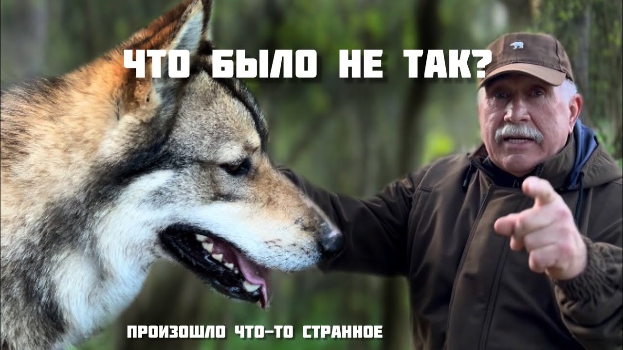 ТОЛЬКО 30% СРАБОТАЛО на всероссийских состязаниях | ИНТЕРВЬЮ | личное мнение А.К