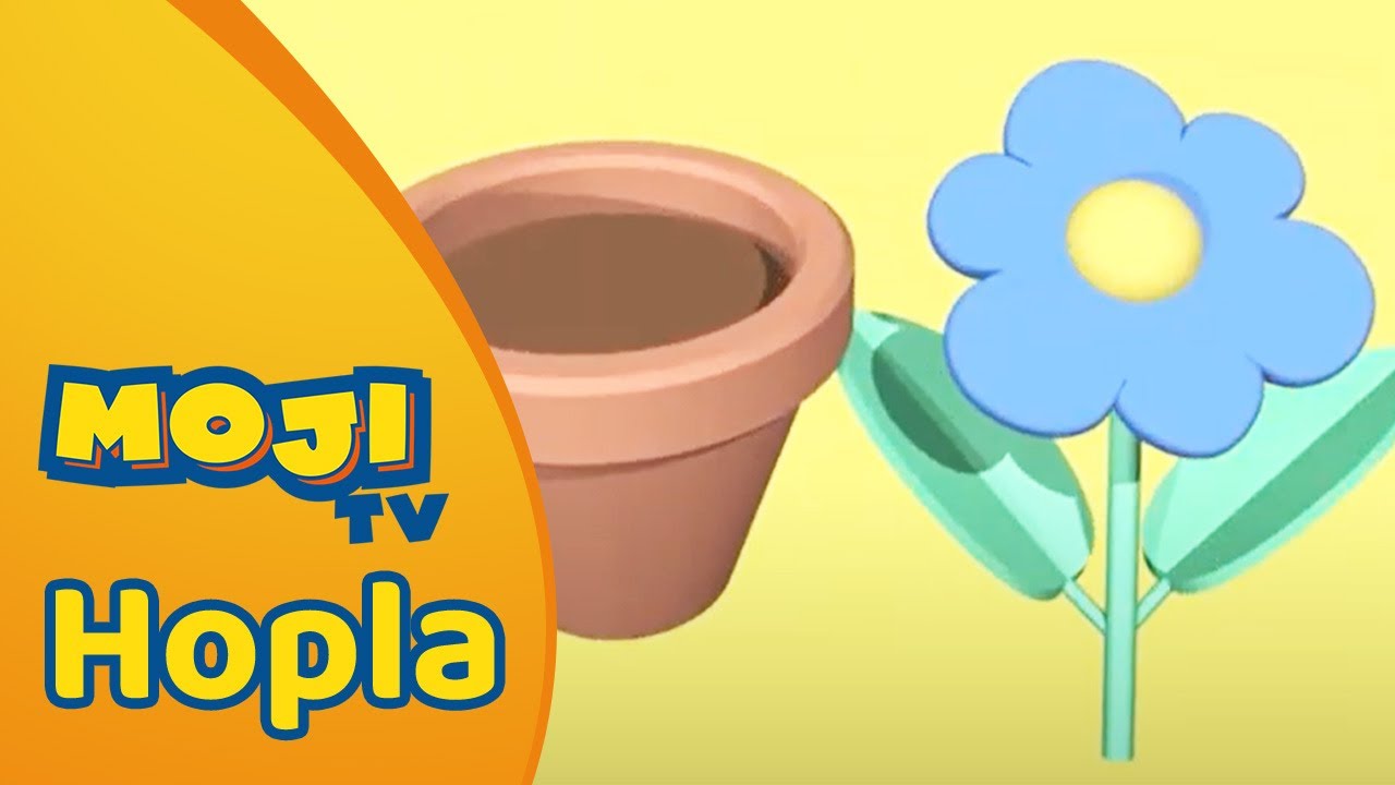 WAAR PAST DE BLOEM 🌼 | HOPLA 🐇 | Nederlandse Kinderseries | MojiTV